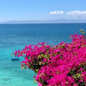 ALL PROCEEDS GOING TO MISSION OF HOPE HAITI